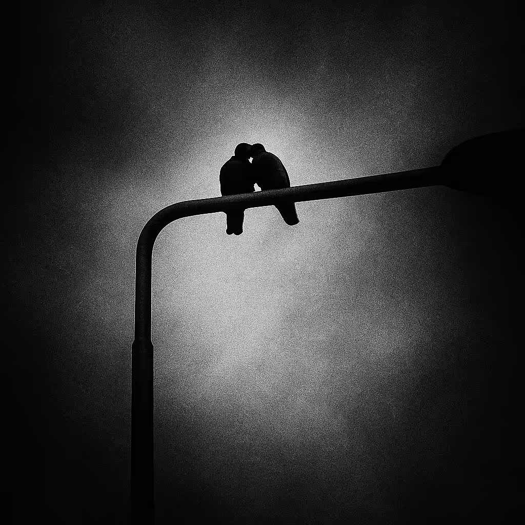 Birds on Lamp
