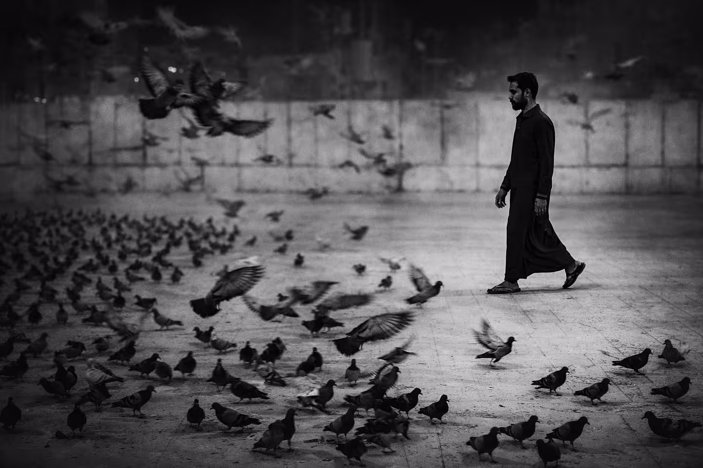 Man and Pigeons