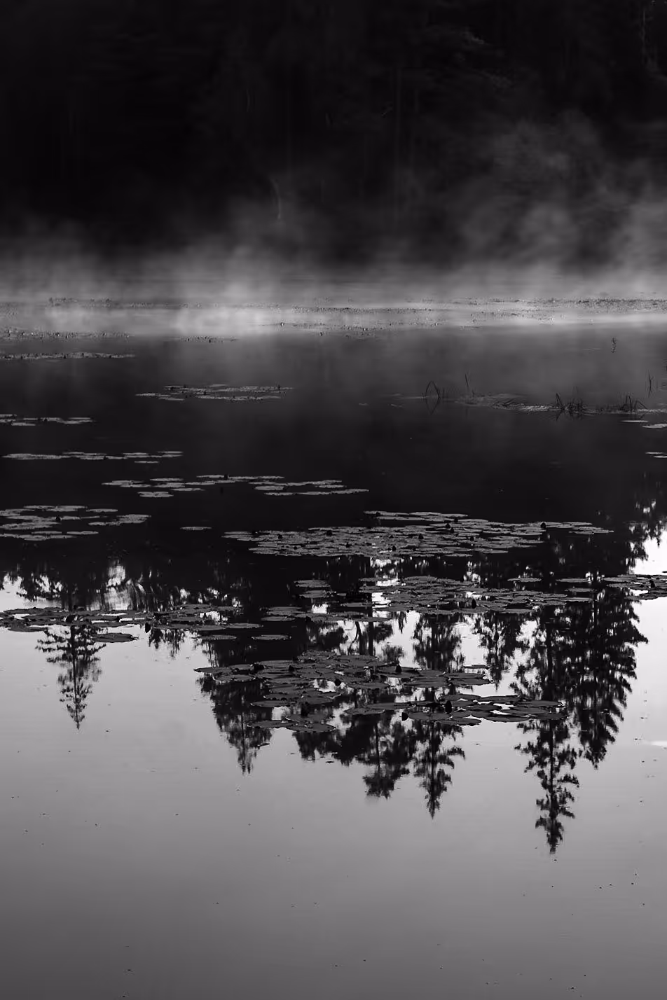 Morning Reflections