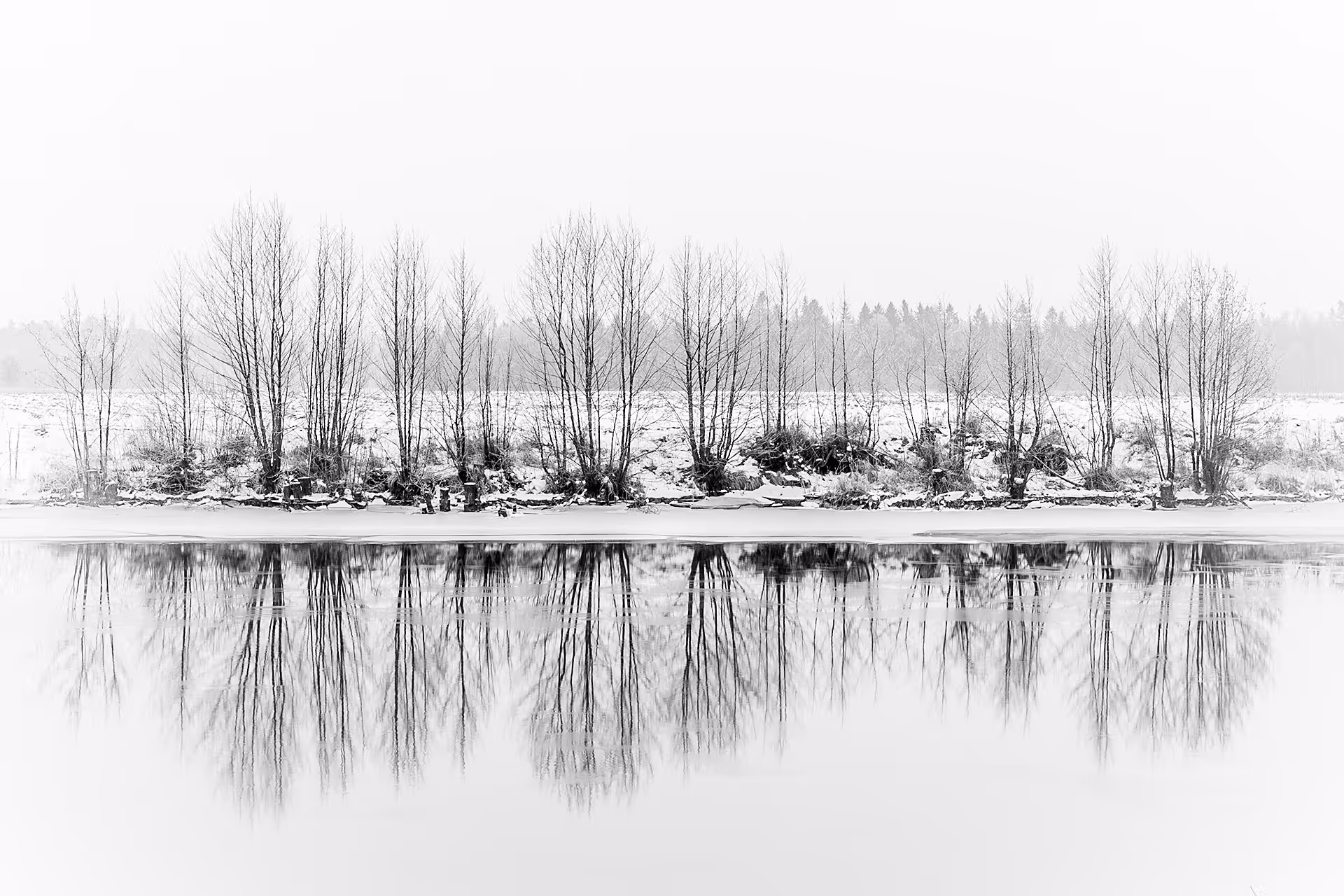 Winter Reflections