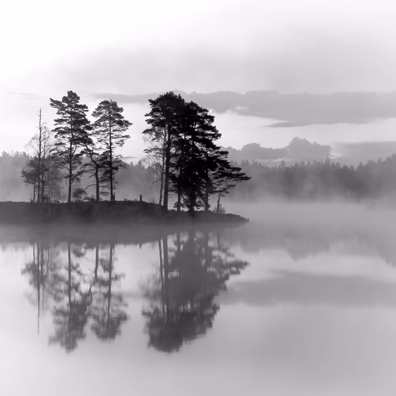 Misty Island